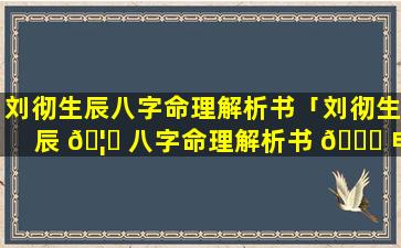刘彻生辰八字命理解析书「刘彻生辰 🦅 八字命理解析书 🐋 电子版」